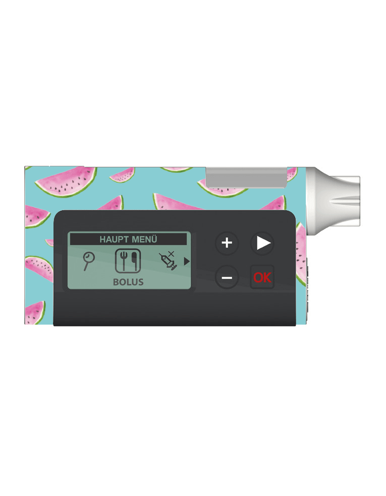 Dana RS Cover Sticker (Juicy Melons) - The Useless Pancreas