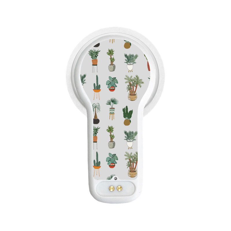 Miao Miao 2 Sticker (Super Succulents) - The Useless Pancreas