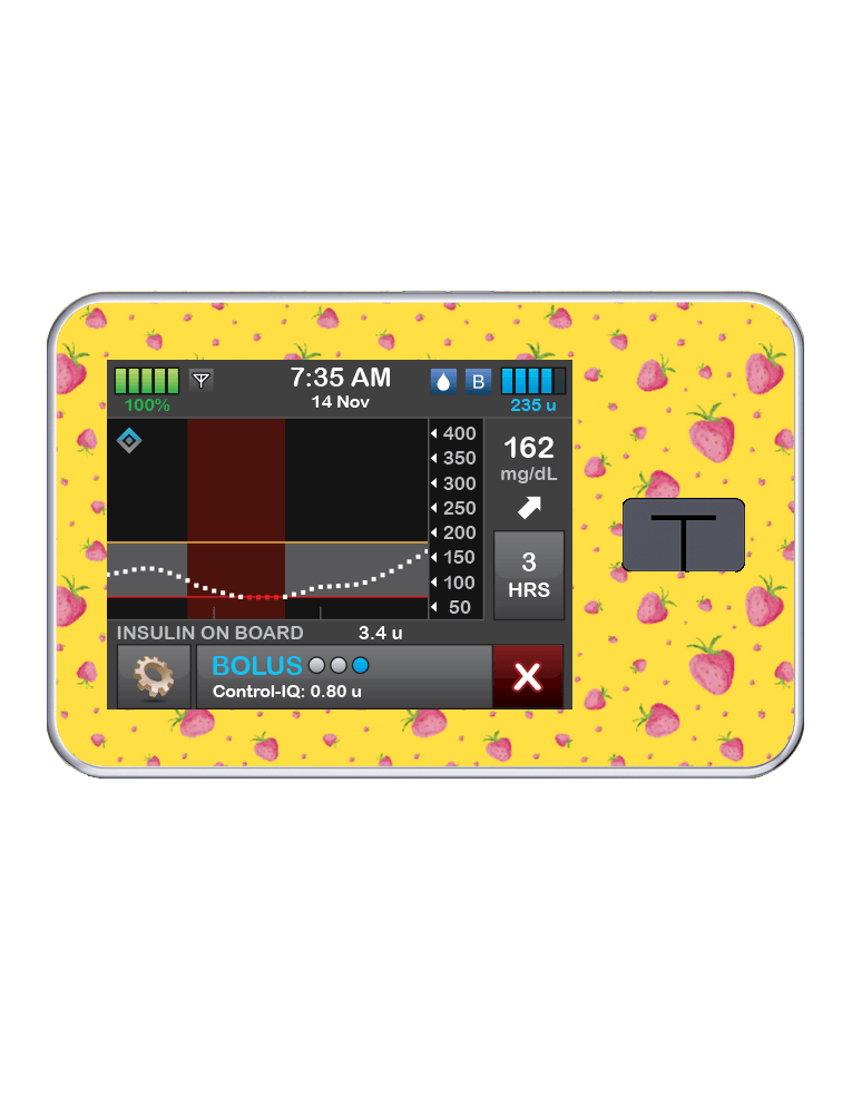 T:slim Cover Sticker (Strawberry Patch) - The Useless Pancreas