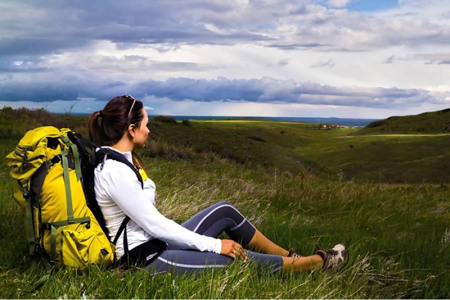 FlipBelt Zipper Running Belt - The Useless Pancreas