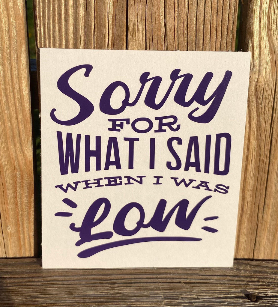 Sorry for What I Said When I Was Low Decal, Device Decal, Small, Type 1 Diabetes Decal, Insulin Decal, Diabetes, Warrior Decal, T1D Sticker - The Useless Pancreas