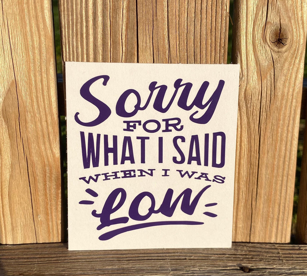 Sorry for What I Said When I Was Low Decal, Device Decal, Small, Type 1 Diabetes Decal, Insulin Decal, Diabetes, Warrior Decal, T1D Sticker - The Useless Pancreas