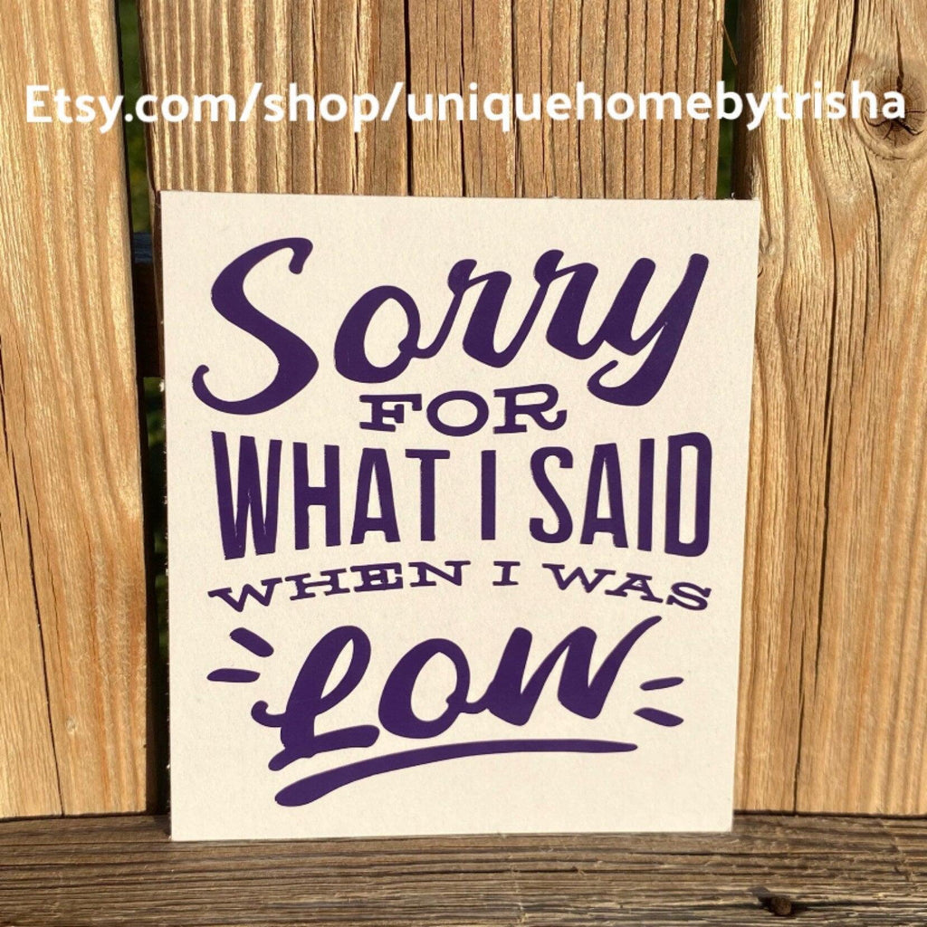 Sorry for What I Said When I Was Low Decal, Device Decal, Small, Type 1 Diabetes Decal, Insulin Decal, Diabetes, Warrior Decal, T1D Sticker - The Useless Pancreas