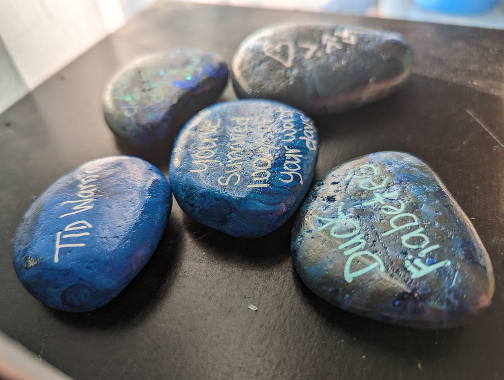 Type 1 Diabetes Warrior Inspirational Wisdom Stones - The Useless Pancreas