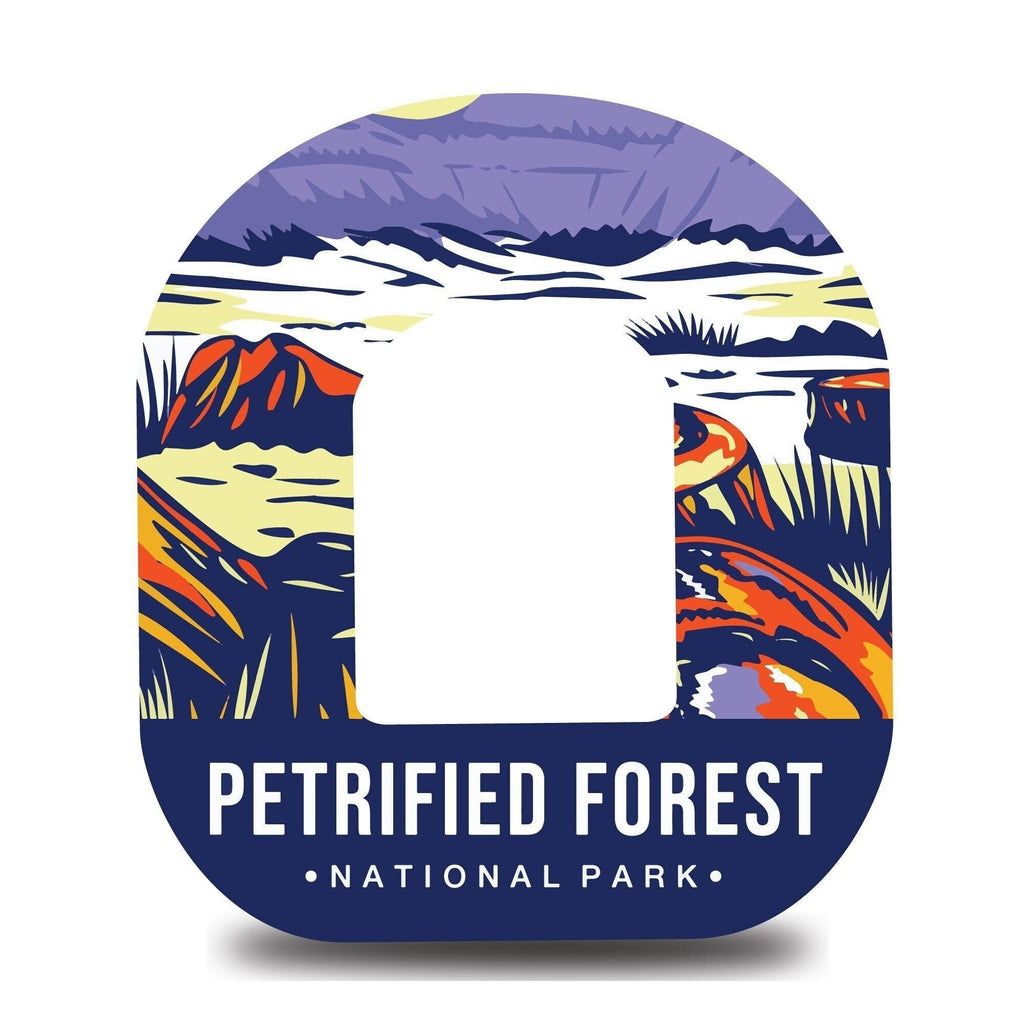 Petrified Forest National Park Omnipod Tape - The Useless Pancreas