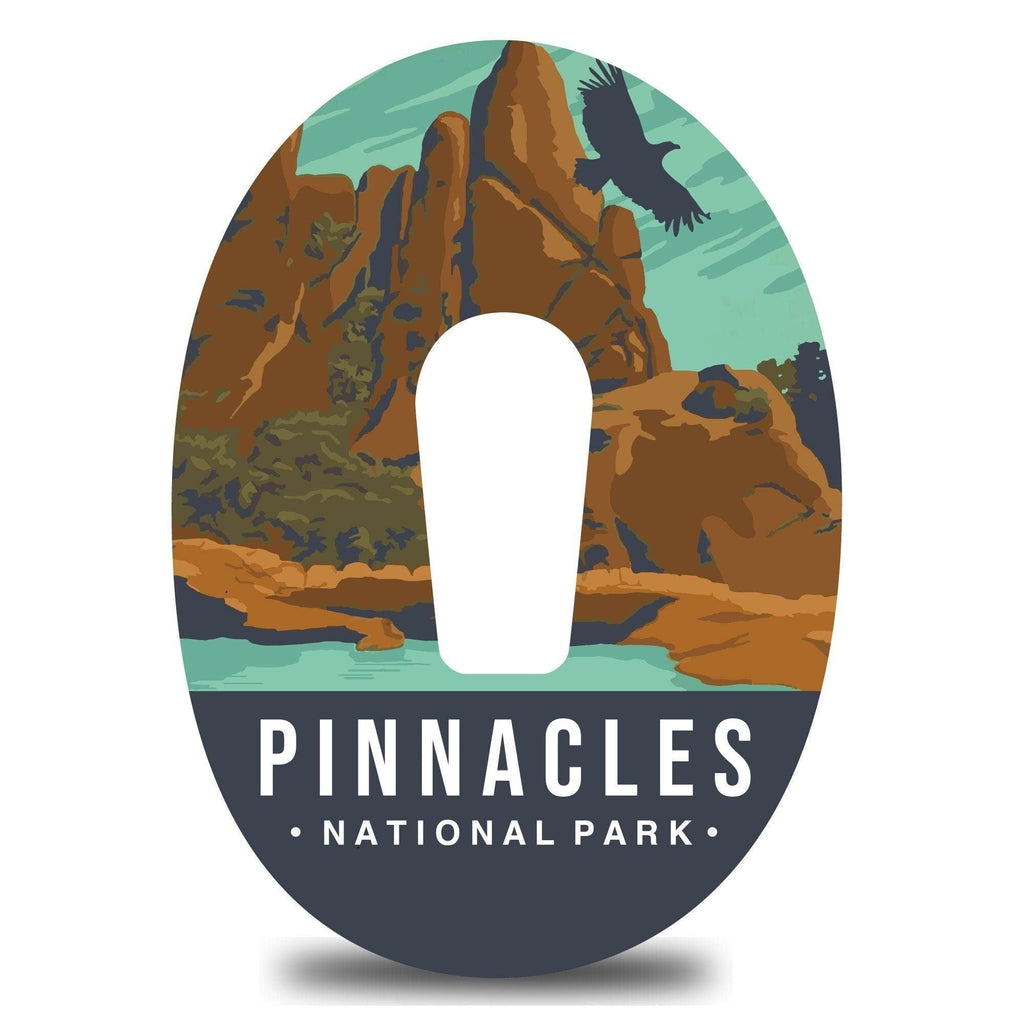 Pinnacles National Park Dexcom G6 Tape - The Useless Pancreas